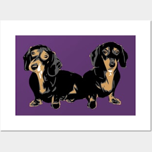 Two Dachshund Puppies Colour Vector Posters and Art